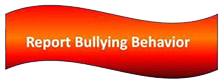 Report bullying behavior.