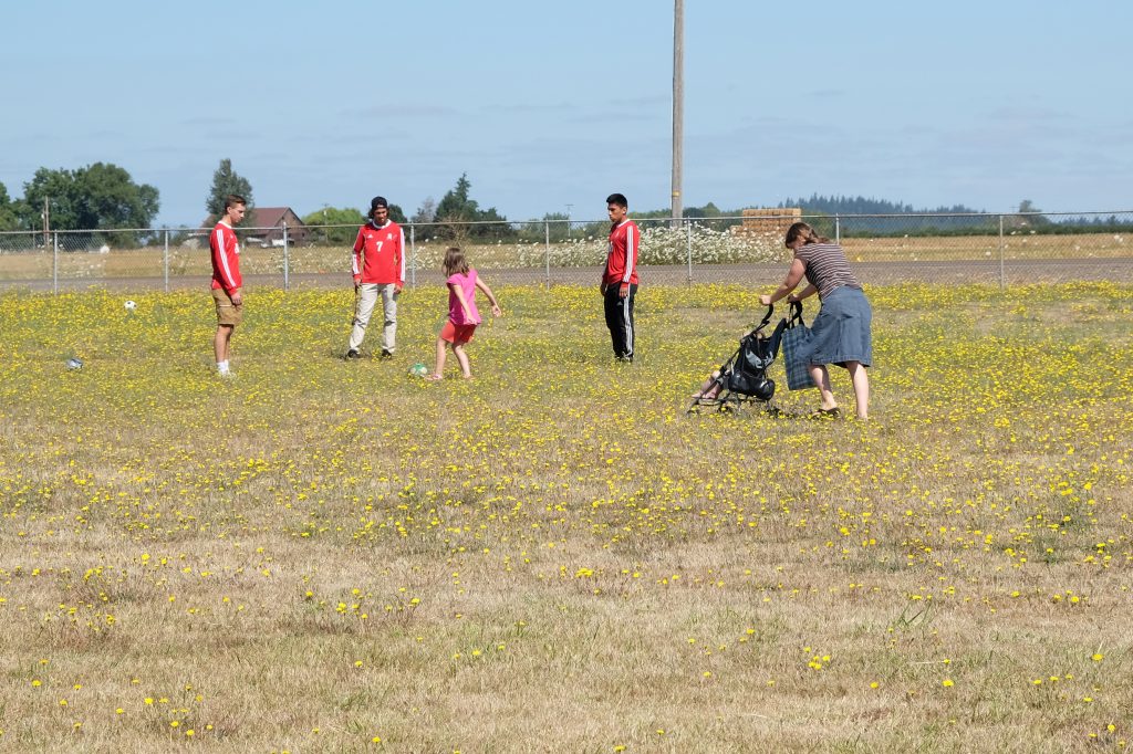 Kids picking flowers