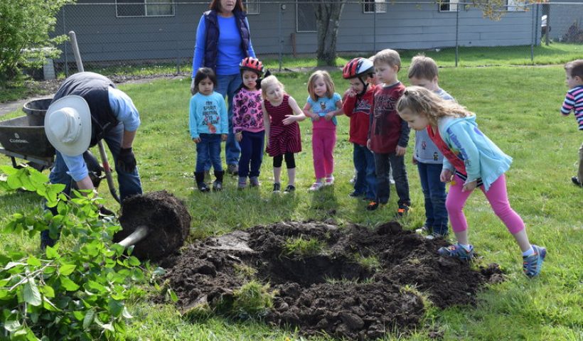Children planting a tree