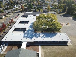 aerial photo of school