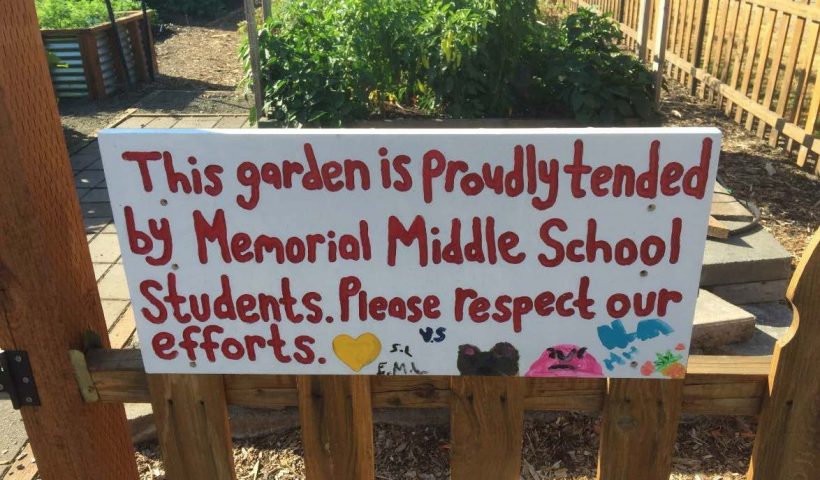 Memorial Middle School Gardens