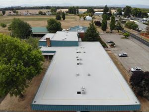 Tangent Elementary Roof - New