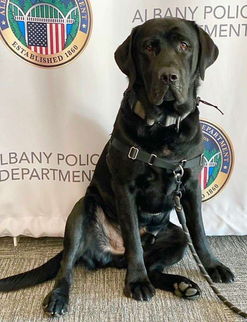 School Resource Officers Program - Greater Albany Public Schools